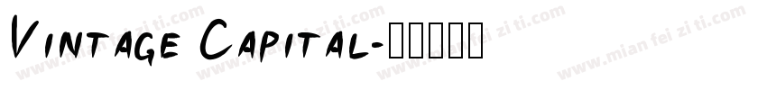 Vintage Capital字体转换